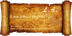 Laurinecz Anikó névjegykártya
