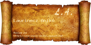 Laurinecz Anikó névjegykártya